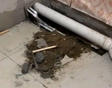 香河卫生间漏水检测哪家好